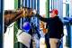 BALTIMORE, MD - MAY 17: Part owner from Brooklyn Boyz Stables Vincent Viola checks in on his Kentucky Derby winner Always Dreaming at historic Stall 40 before he exercised in preparation for the Preakness Stakes this Saturday at Pimlico Race Course on May 17, 2017 in Baltimore, Maryland.(Photo by Scott Serio/Eclipse Sportswire/Getty Images)