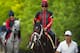 BALTIMORE, MD - MAY 18: Classic Empire in preparation for the Preakness Stakes at Pimlico Race Course on May 18, 2017 in Baltimore, Maryland. (Photo by Horsephotos/Getty Images)