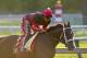 BALTIMORE, MD - MAY 18: Classic Empire on the track in preparation for the Preakness Stakes at Pimlico Race Course on May 18, 2017 in Baltimore, Maryland. (Photo by Horsephotos/Getty Images)