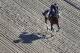 BALTIMORE, MD - MAY 16: Conquest Mo Money trains on the track for the upcoming Preakness Stakes at Pimlico Race Course on May 16, 2017 in Baltimore, Maryland. (Photo by Rob Carr/Getty Images)