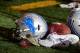 DETROIT, MI - NOVEMBER 22: A detailed view of a Detroit Lions football helmet, official Wilson football and shoes sitting on the sidelines during the game against the Oakland Raiders at Ford Field on November 22, 2015 in Detroit, Michigan. The Lions defeated the Raiders 18-13. (Photo by Mark Cunningham/Detroit Lions/Getty Images)