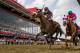 BALTIMORE, MD - MAY 19: Shaman Ghost # 6 with Javier Castellano defeats Dolphus #1 with Rajiv Maragh to win the Pimlico Special Stakes at Pimlico Race Course on May 19, 2017 in Baltimore, Maryland. (Photo by Alex Evers/Eclipse Sportswire/Getty Images)