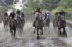 Actress with Nik Juarez atop, fourth from from right, wins the Black-Eyed Susan horse race at Pimlico race course as Lights of Medina with Feargal Lynch aboard, second from left, takes second place, Friday, May 19, 2017, in Baltimore. The 142nd Preakness Stakes horse race runs Saturday. (AP Photo/Patrick Semansky)