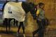 Trainer Todd Pletcher has not decided whether Always Dreaming will run in the Belmont Stakes.