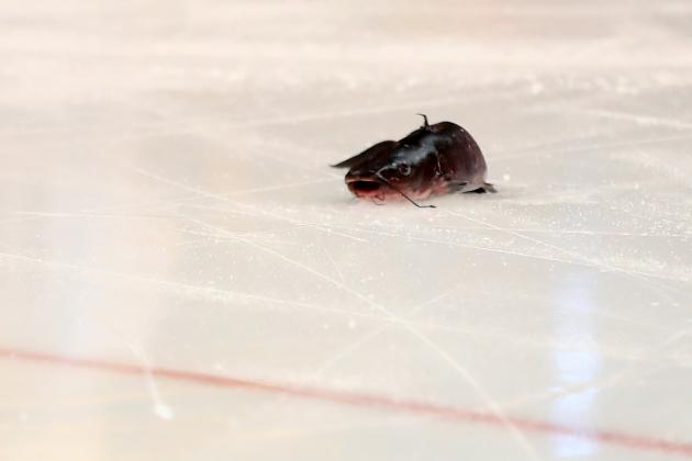 ANAHEIM, CA - MAY 14:  A catfish that was thrown on the ice is seen prior to Game Two of the Western Conference Final between the Nashville Predators and the Anaheim Ducks during the 2017 Stanley Cup Playoffs at Honda Center on May 14, 2017 in Anaheim, California.  (Photo by Sean M. Haffey/Getty Images)