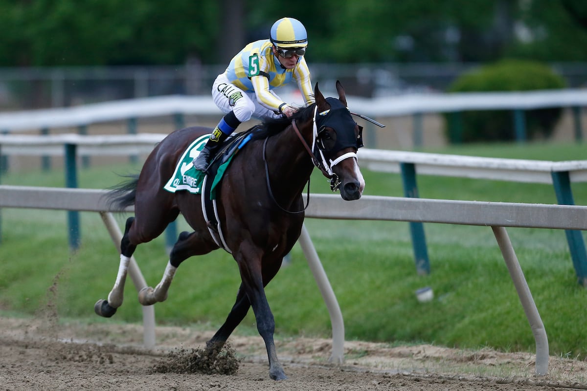 Belmont Stakes 2017 Post Time TV Coverage NBC Live Stream And Purse Belmont stakes 2017 post time tv coverage nbc live stream and purse
