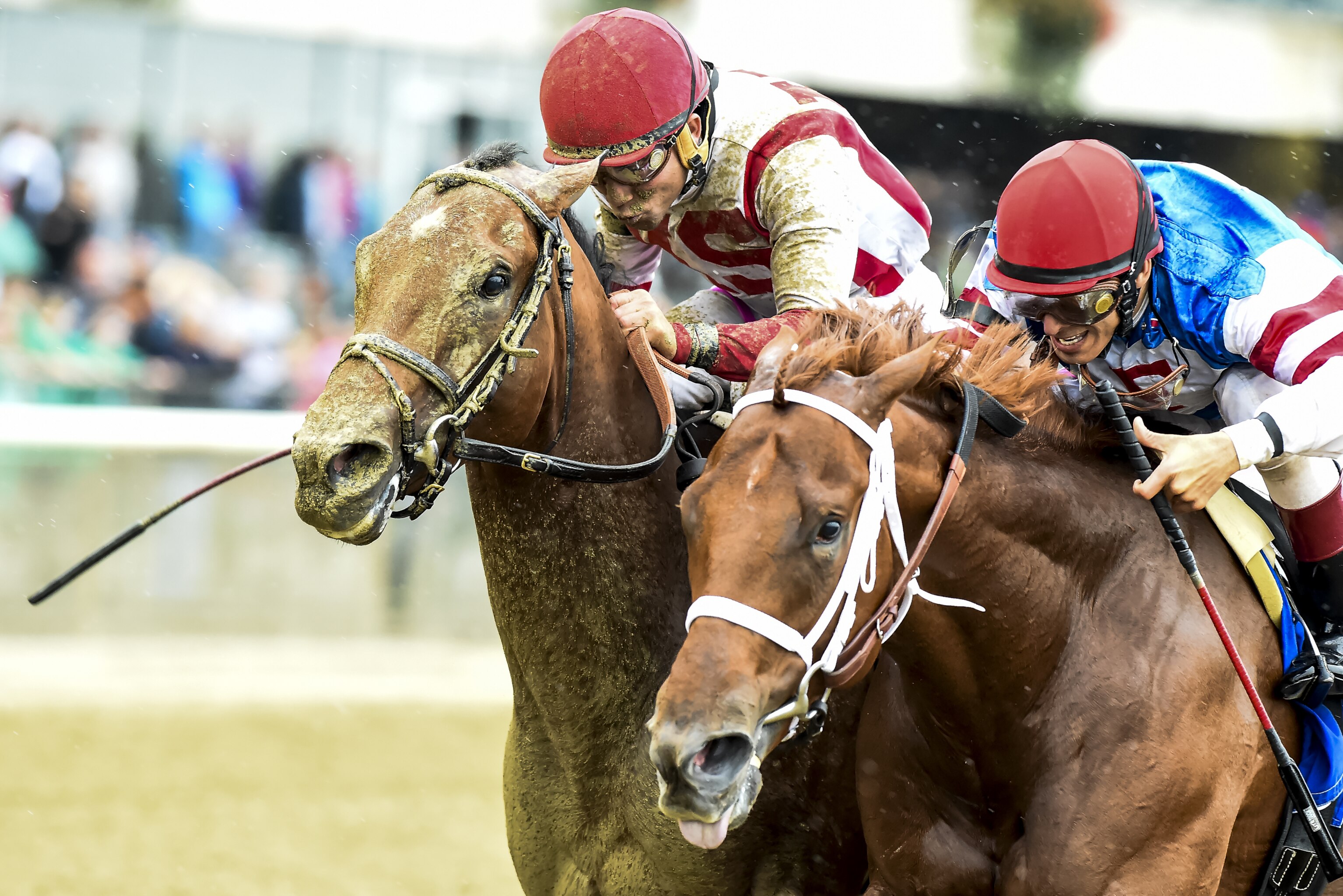 Belmont Horse Lineup 2017 Belmont Horse Lineup 2017