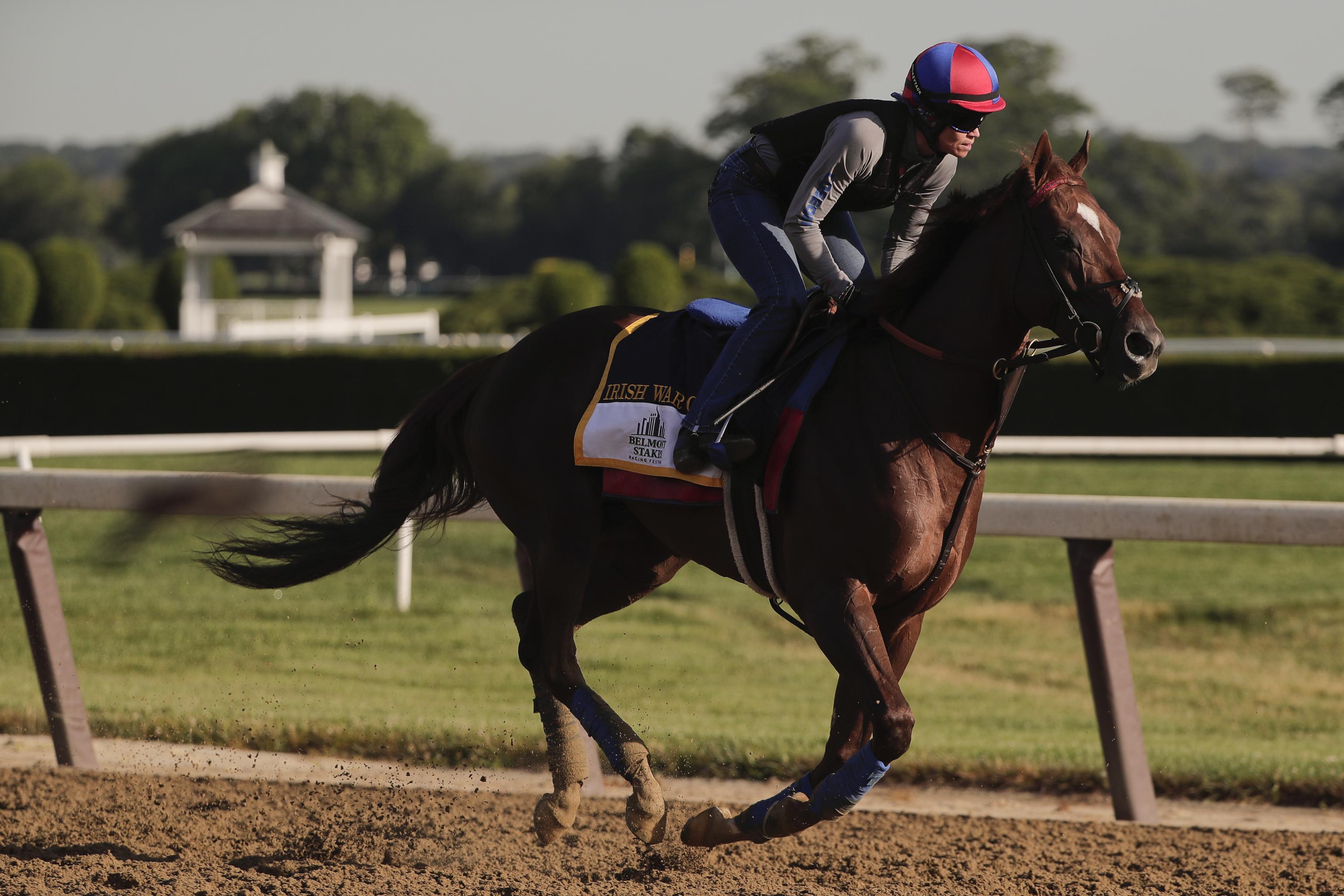 2017 Belmont Stakes Contenders 2017 Belmont Stakes Contenders