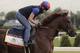 Belmont Stakes hopeful Irish War Cry gallops around the track with assistant trainer Alice Chapman up during a workout, Friday, June 9, 2017, in Elmont, N.Y. Irish War Cry is the favorite to win the 149th running of the Belmont Stakes horse race on Saturday. (AP Photo/Julie Jacobson)