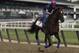 Belmont Stakes hopeful Irish War Cry gallops around the track with assistant trainer Alice Chapman up during a workout, Friday, June 9, 2017, in Elmont, N.Y. Irish War Cry is the favorite to win the 149th running of the Belmont Stakes horse race on Saturday. (AP Photo/Julie Jacobson)