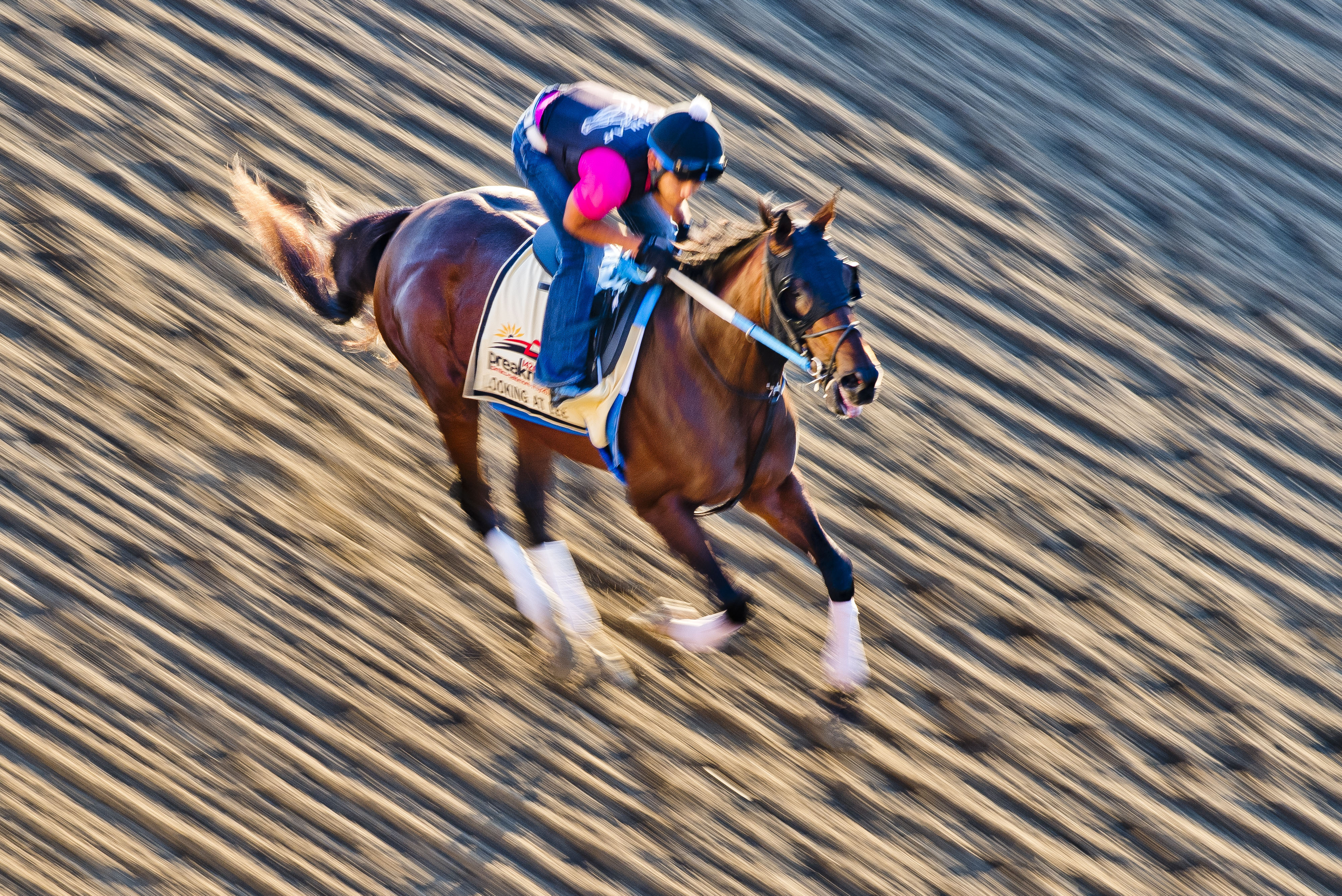 BALTIMORE, MD - MAY 17: Lookin At Lee exercises in preparation for the Preakness Stakes this Saturday at Pimlico Race Course on May 17, 2017 in Baltimore, Maryland.(Photo by Scott Serio/Eclipse Sportswire/Getty Images)
