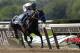 Jockey Mike Smith, riding Mor Spirit, crosses the finish line to win The Mohegan Sun Metropolitan, his fifth win of the day, at Belmont Park on Saturday, June 10, 2017, in Elmont, N.Y. (AP Photo/Peter Morgan)