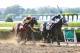 ELMONT, NY - JUNE 10: Jose Otriz is up on Tapwrit leading to victory as Irish War cry with Rajiv Maragh up is second in The 149th running of the Belmont Stakes at Belmont Park on June 10, 2017 in Elmont, New York. (Photo by Nicole Bello/Getty Images)