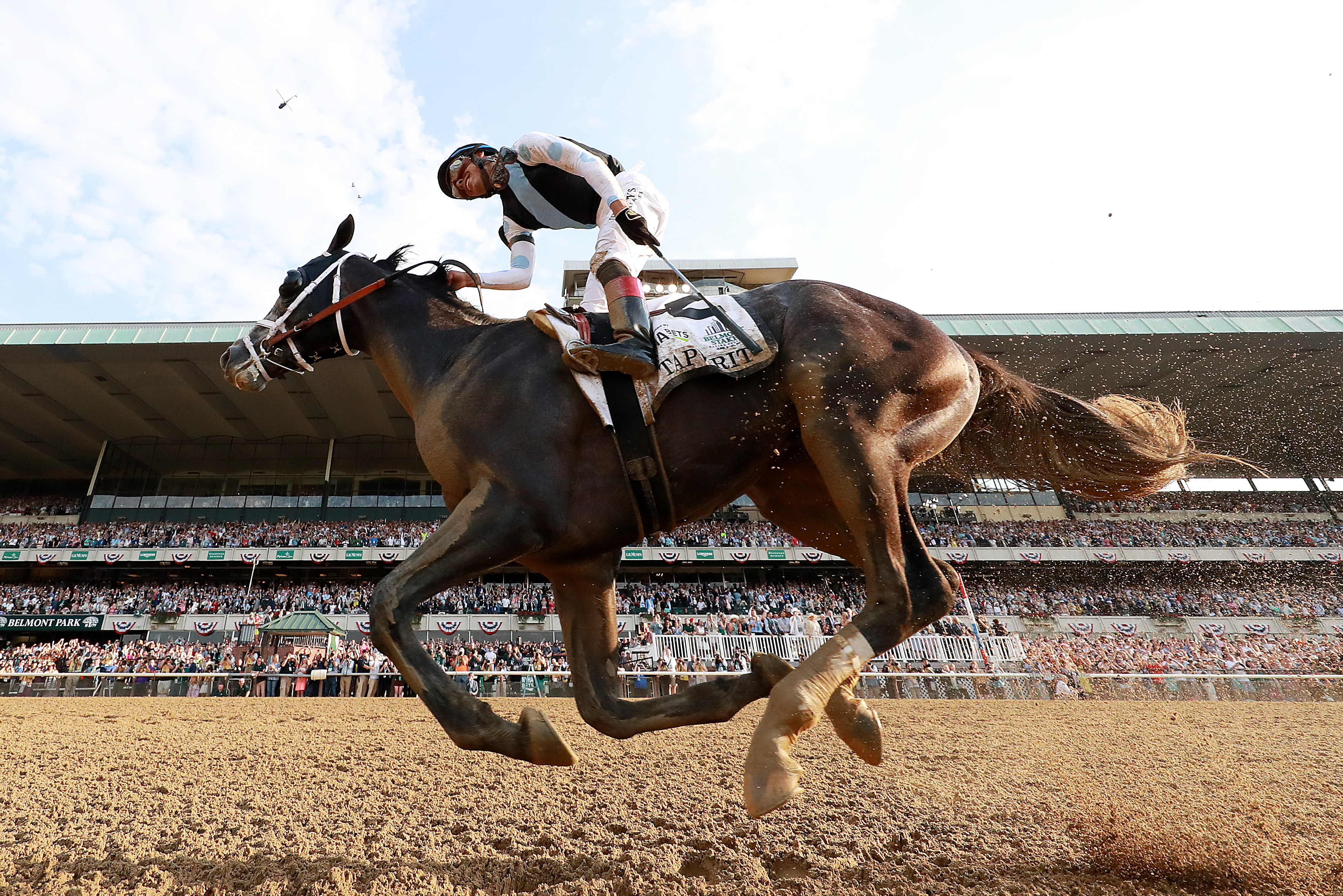 Tapwrit won the 149th Belmont Stakes with a powerful stretch run.