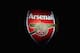 LONDON, ENGLAND - OCTOBER 19: A general view of an Arsenal badge on the outside of the stadium ahead of the UEFA Champions League group A match between Arsenal FC and PFC Ludogorets Razgrad at the Emirates Stadium on October 19, 2016 in London, England. (Photo by Clive Rose/Getty Images)
