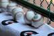 SOUTH WILLIAMSPORT, PA - AUGUST 28: Baseballs sit on a ledge during the first inning of the Little League World Series Championship Game between the Mid-Atlantic Team from New York and the Asia-Pacific team from South Korea at Lamade Stadium on August 28, 2016 in South Williamsport, Pennsylvania. (Photo by Rob Carr/Getty Images)