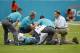 Miami Dolphins linebacker Raekwon McMillan (52) is attended on the field, during the first half of an NFL preseason football game against the Atlanta Falcons, Thursday, Aug. 10, 2017 in Miami Gardens, Fla. (AP Photo/Wilfredo Lee)