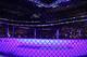 An overall, general view of the Octagon at the Prudential Center at UFC 159 in Newark, NJ, Saturday, April 27,2013. (AP Photo/Gregory Payan)