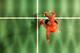 SYDNEY, AUSTRALIA - JUNE 22: Lin Dan of China plays a shot during his R16 match against Jonatan Christie of Indonesia during the Australian Badminton Open at Sydney Olympic Park on June 22, 2017 in Sydney, Australia. (Photo by Cameron Spencer/Getty Images)