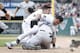 DETROIT, MI - AUGUST 24: Miguel Cabrera #24 of the Detroit Tigers fights with Austin Romine #27 of the New York Yankees after words were exchanged during a game at Comerica Park on August 24, 2017 in Detroit, Michigan. (Photo by Joe Robbins/Getty Images)