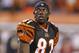 CINCINNATI, OH - NOVEMBER 8: Terrell Owens #81 of the Cincinnati Bengals looks on during the game against the Pittsburgh Steelers at Paul Brown Stadium on November 8, 2010 in Cincinnati, Ohio. The Steelers beat the Bengals 27-21. (Photo by Joe Robbins/Getty Images)