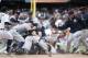 DETROIT, MI - AUGUST 24: Miguel Cabrera #24 of the Detroit Tigers fights with Austin Romine #27 of the New York Yankees after words were exchanged during a game at Comerica Park on August 24, 2017 in Detroit, Michigan. (Photo by Joe Robbins/Getty Images)