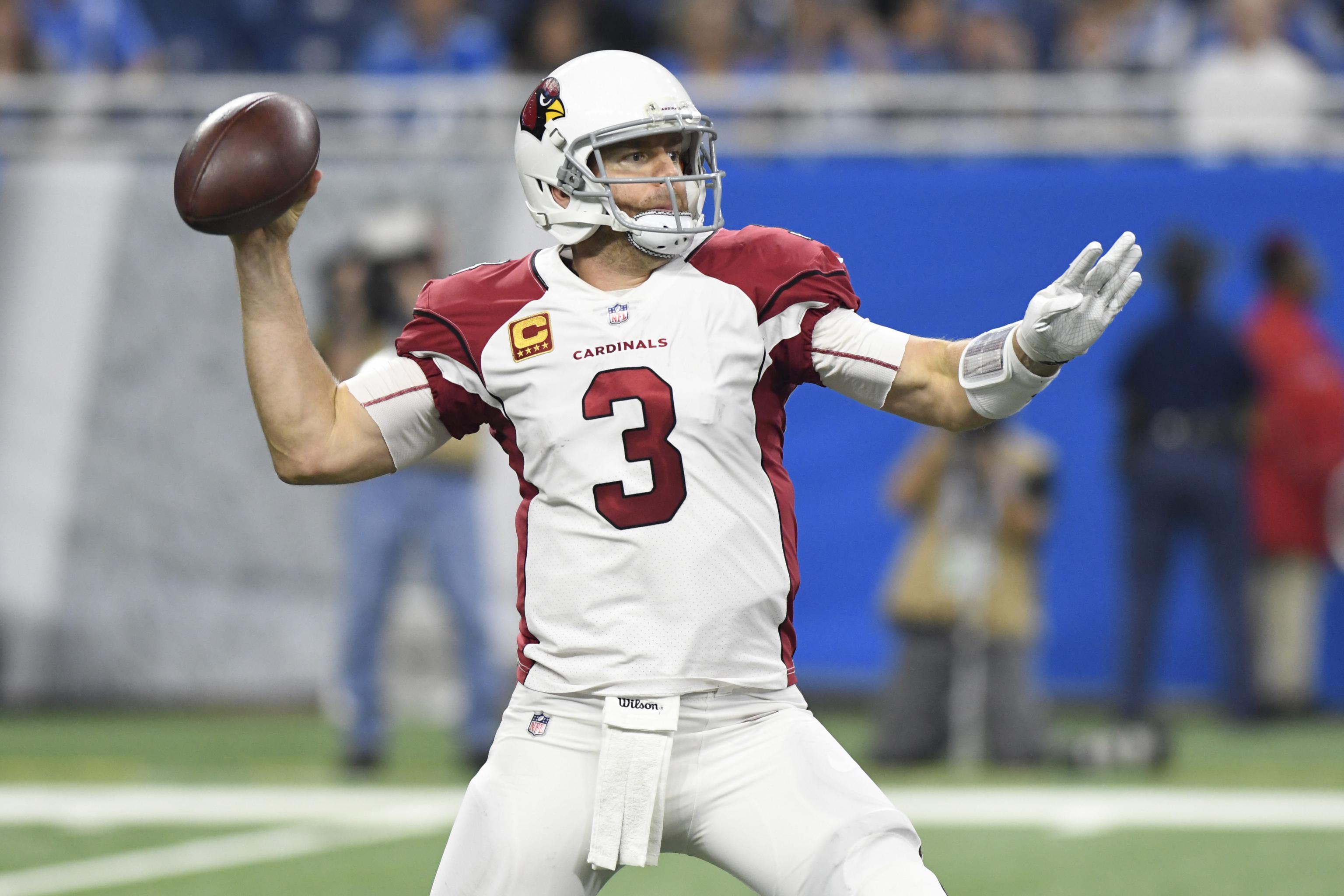 Carson Palmer not resting during Arizona Cardinals' bye week