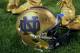 INDIANAPOLIS, IN - SEPTEMBER 13: General view of a Notre Dame Fighting Irish helmet on the field during the game against the Purdue Boilermakers at Lucas Oil Stadium on September 13, 2014 in Indianapolis, Indiana. (Photo by Michael Hickey/Getty Images)