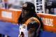 INDIANAPOLIS, IN - AUGUST 31: Adam Jones #24 of the Cincinnati Bengals looks on during a preseason game against the Indianapolis Colts at Lucas Oil Stadium on August 31, 2017 in Indianapolis, Indiana. (Photo by Joe Robbins/Getty Images)