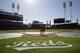 The Cincinnati Reds stand on the field during practice at Great American Ballpark, Sunday, April 3, 2016, in Cincinnati. (AP Photo/John Minchillo)