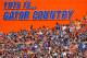 GAINESVILLE, FL - OCTOBER 07: A general view during the game between the Florida Gators and the LSU Tigers at Ben Hill Griffin Stadium on October 7, 2017 in Gainesville, Florida. (Photo by Sam Greenwood/Getty Images)