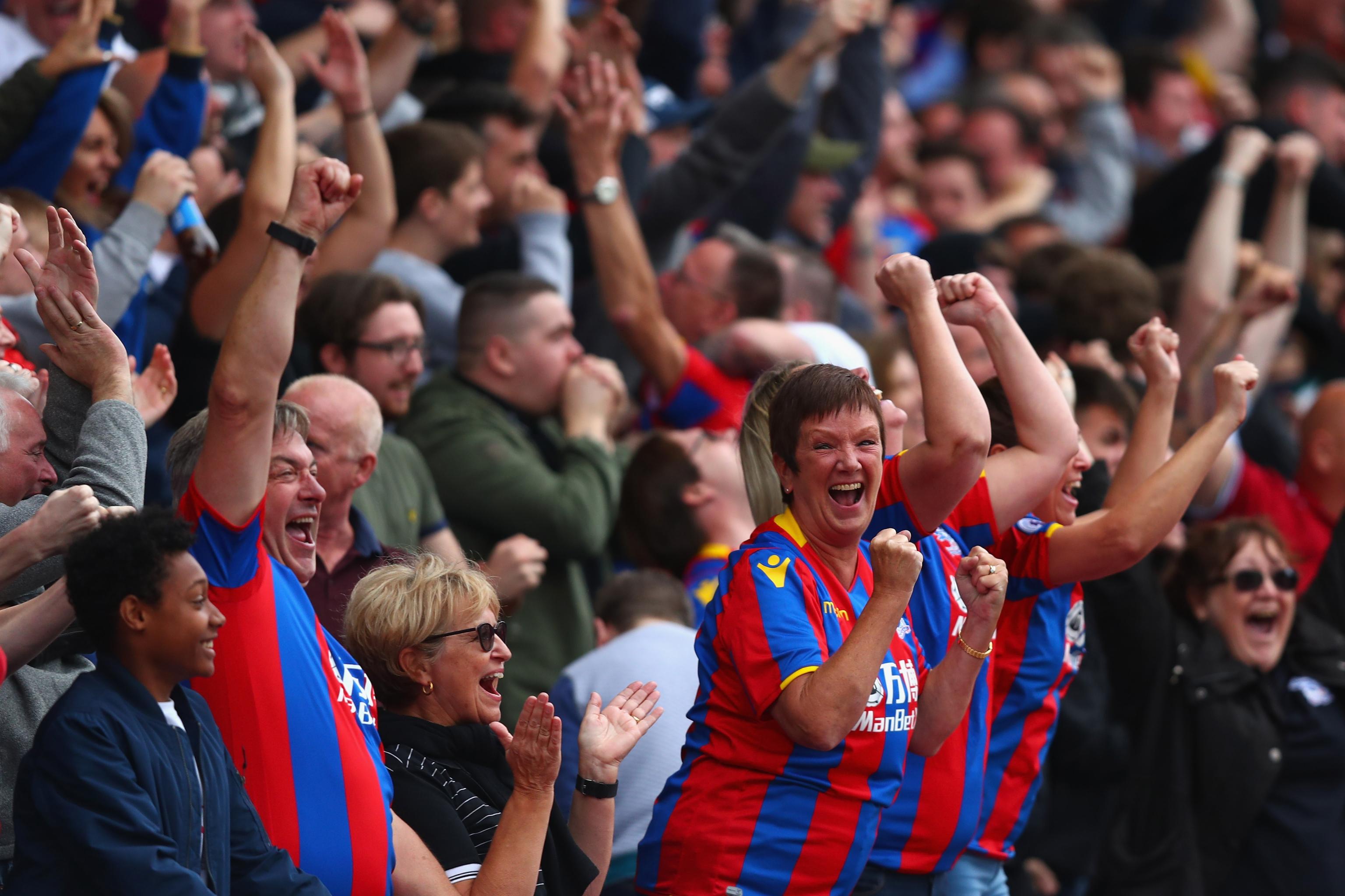 A Crystal Palace Fan's Diary: In Search of a Goal | News, Scores,  Highlights, Stats, and Rumors | Bleacher Report