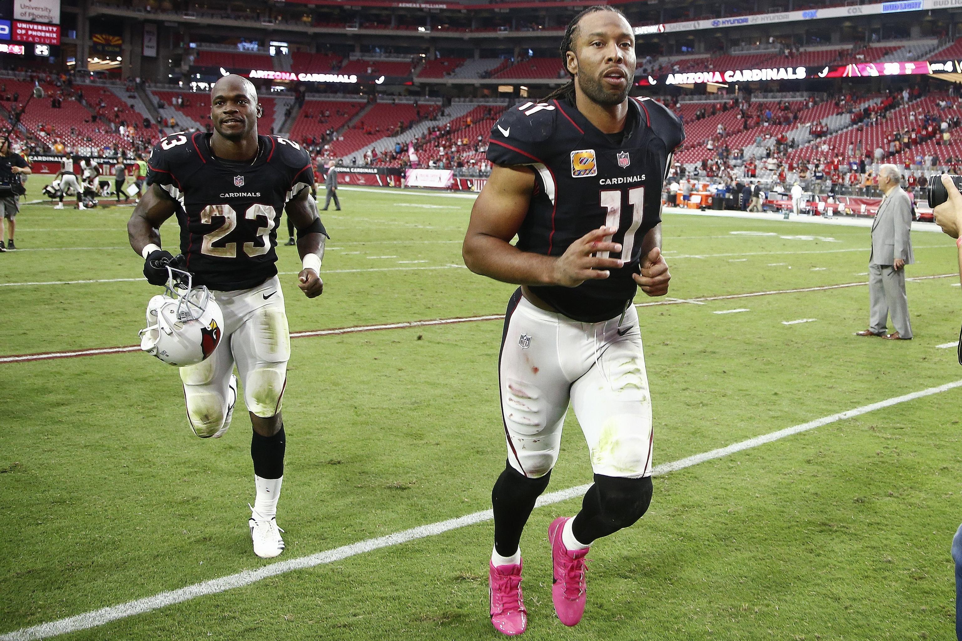 Larry Fitzgerald: I'd Have a Super Bowl Ring If Adrian Peterson