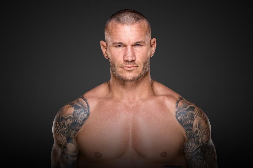 who will join randy orton on smackdown s wwe survivor series team