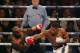 Cameroon-born Carlos Takam (L) recoils from a straight right from Britain's Anthony Joshua (R) during their world heavyweight title fight at The Principality Stadium in Cardiff on October 28, 2017.
Joshua stopped Takam in 10th round to retain his championship belts. / AFP PHOTO / ADRIAN DENNIS (Photo credit should read ADRIAN DENNIS/AFP/Getty Images)
