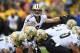 GREEN BAY, WI - OCTOBER 22: Drew Brees #9 of the New Orleans Saints anticipates a snap during a game against the Green Bay Packers at Lambeau Field on October 22, 2017 in Green Bay, Wisconsin. The Saints defeated the Packers 26-17. (Photo by Stacy Revere/Getty Images)