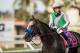 DEL MAR, CA - AUGUST 19: Arrogate # 8, with Mike Smith up after the TVG Pacific Classic at Del Mar Thoroughbred Club, on August 19, 2017 in Del Mar, California. (Photo by Alex Evers/Eclipse Sportswire/Getty Images)