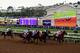 DEL MAR, CA - NOVEMBER 03: Champagne Room ridden by Mario Gutierrez races during the Longines Breeder's Cup Distaff on day one of the 2017 Breeder's Cup World Championship at Del Mar Race Track on November 3, 2017 in Del Mar, California. (Photo by Harry How/Getty Images)