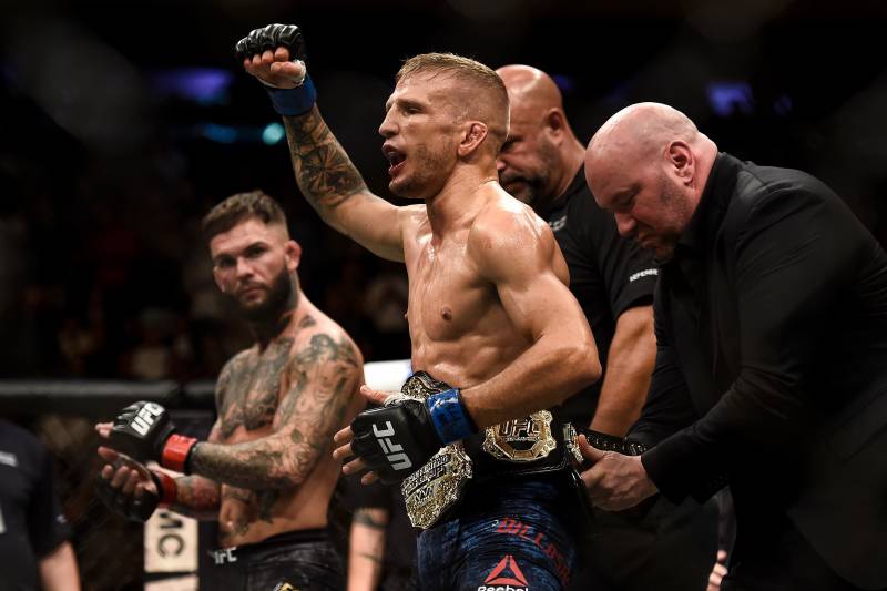 NEW YORK, NY - NOVEMBER 04: (R-L) TJ Dillashaw celebrates his knockout victory over Cody Garbrandt in their UFC bantamweight championship bout during the UFC 217 event inside Madison Square Garden on November 4, 2017 in New York City. (Photo by Brandon Magnus/Zuffa LLC/Zuffa LLC via Getty Images)