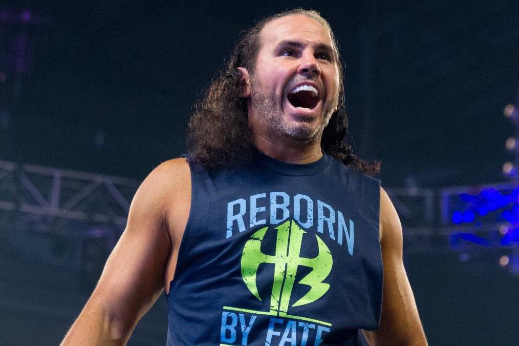 yellow puma creepers