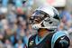 Cam Newton and the Panthers clinched a playoff spot in Week 15.