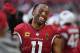 GLENDALE, AZ - DECEMBER 24: Larry Fitzgerald #11 of the Arizona Cardinals reacts on the bench after catching a touchdown pass against the New York Giants at University of Phoenix Stadium on December 24, 2017 in Glendale, Arizona. (Photo by Norm Hall/Getty Images)