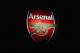 LONDON, ENGLAND - OCTOBER 19: A general view of an Arsenal badge on the outside of the stadium ahead of the UEFA Champions League group A match between Arsenal FC and PFC Ludogorets Razgrad at the Emirates Stadium on October 19, 2016 in London, England. (Photo by Clive Rose/Getty Images)
