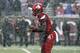 Louisville quarterback Lamar Jackson (8) during action of an NCAA college football game, Saturday, Nov. 18, 2017, in Louisville, Ky. (AP Photo/Timothy D. Easley)
