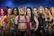 Some of the competitors in Sunday's women's Royal Rumble.