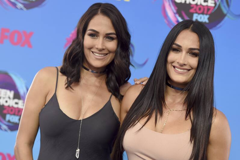 Hasil gambar untuk Nikki dan Brie Bella
