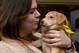 PASADENA, CA - JANUARY 07: Attendees cuddle with puppies from a local rescue, Paw Works, who are on hand to promote Animal Planets Puppy Bowl XII' during the Discovery Communications TCA Winter 2016 at The Langham Huntington Hotel and Spa on January 7, 2016 in Pasadena, California. (Photo by Amanda Edwards/Getty Images for Discovery Communications)