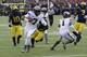 Ohio State quarterback Dwayne Haskins (7) scrambles to the one-yard line during the second half of an NCAA college football game against Michigan, Saturday, Nov. 25, 2017, in Ann Arbor, Mich. (AP Photo/Duane Burleson)