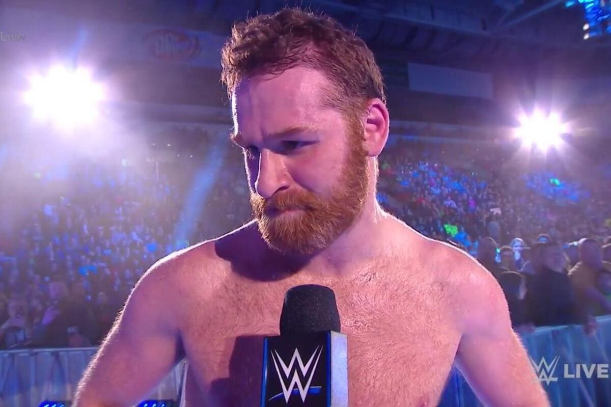 WWE Fastlane 2018: Sami Zayn and the Most Likely Heel and Face Turns
