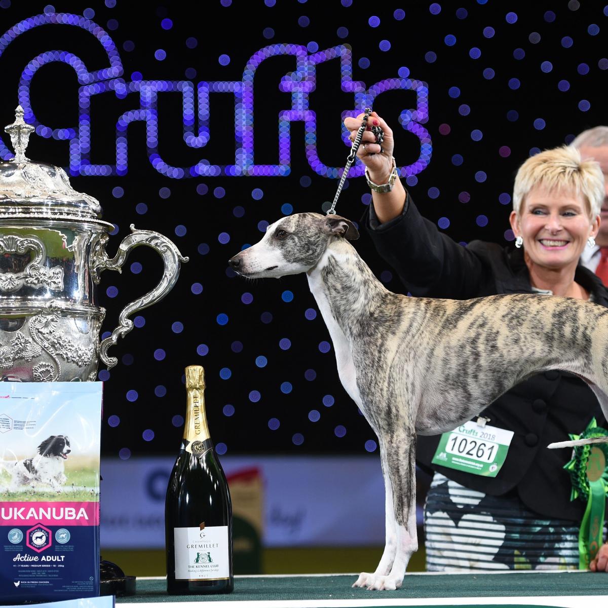 Crufts Dog Show Results 2018: Sunday Winners, Top Photos and Reaction | Bleacher ...1200 x 1200
